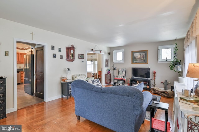 living room featuring hardwood / wood-style flooring