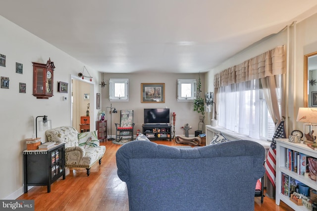 living room featuring wood-type flooring