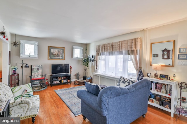 living room with hardwood / wood-style flooring