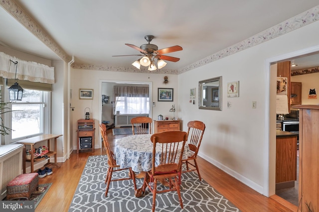 dining area with ceiling fan and hardwood / wood-style floors