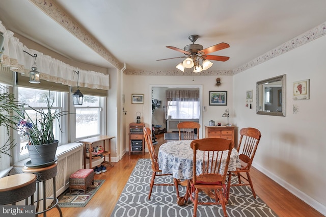 dining room featuring ceiling fan and light wood-type flooring