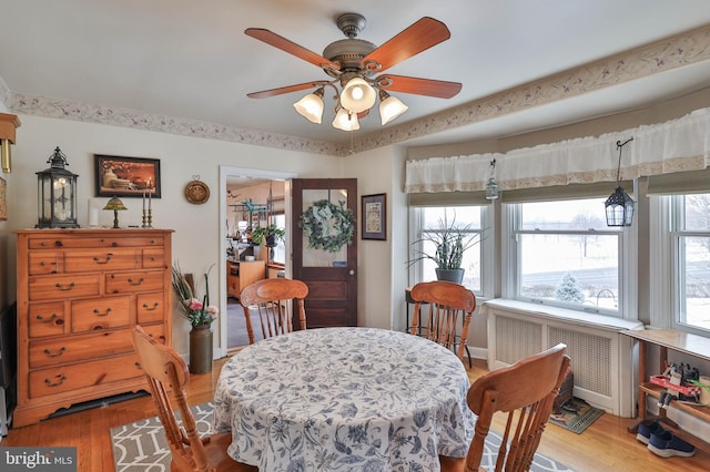 dining area featuring ceiling fan, radiator heating unit, and light hardwood / wood-style floors