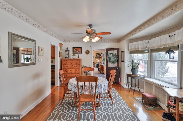 dining area featuring ceiling fan, radiator, and light hardwood / wood-style floors