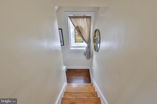 stairs with wood-type flooring