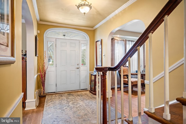 foyer with crown molding and wood-type flooring