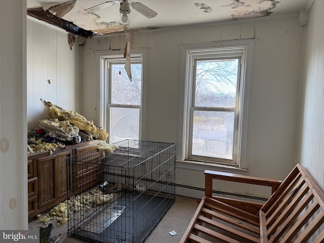 miscellaneous room with ceiling fan