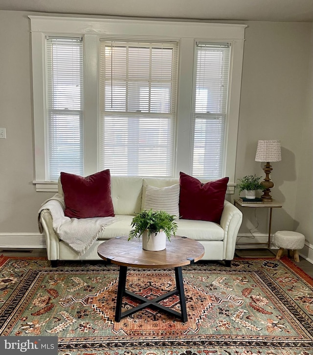 living room featuring hardwood / wood-style floors and a wealth of natural light