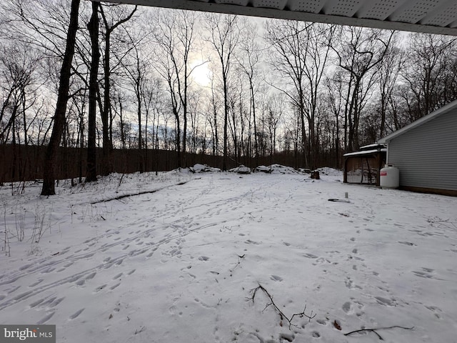 view of yard covered in snow