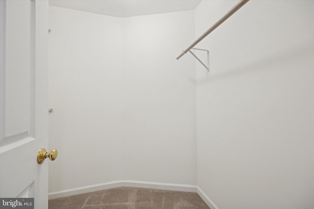 spacious closet with carpet flooring