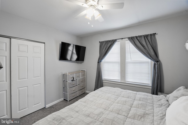 bedroom featuring ceiling fan, carpet flooring, and a closet