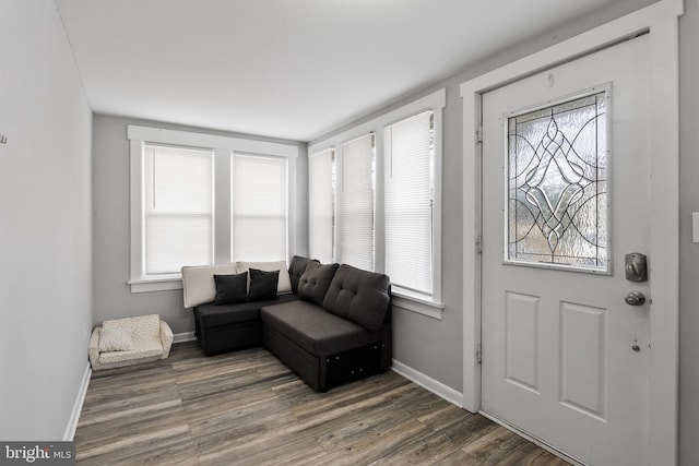 foyer with plenty of natural light and dark hardwood / wood-style floors