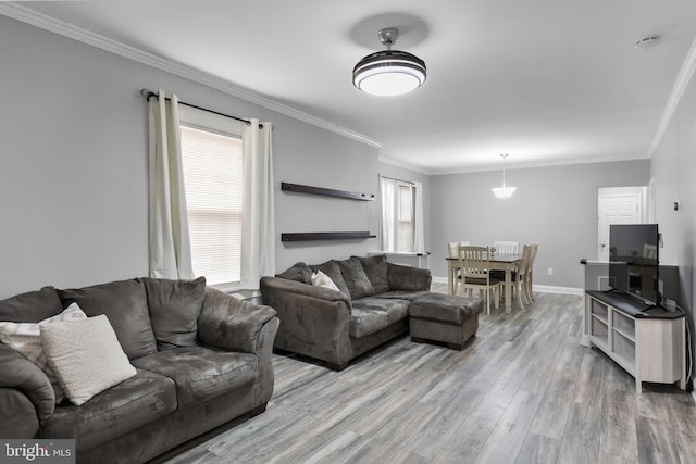 living room featuring ornamental molding and light wood-type flooring