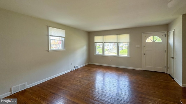 foyer entrance with dark hardwood / wood-style flooring and a wealth of natural light