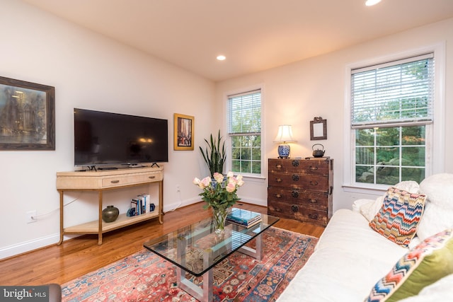 living room with hardwood / wood-style flooring