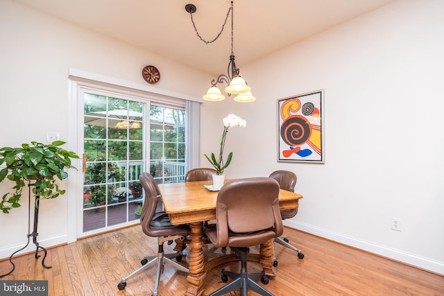 dining area with light hardwood / wood-style flooring