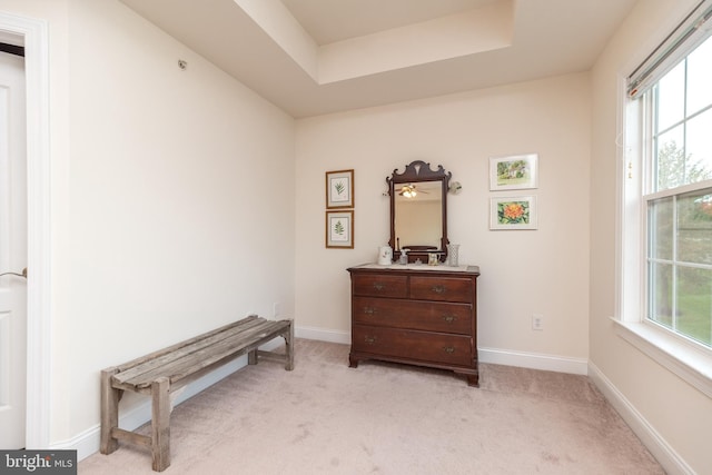 living area with light colored carpet and a raised ceiling