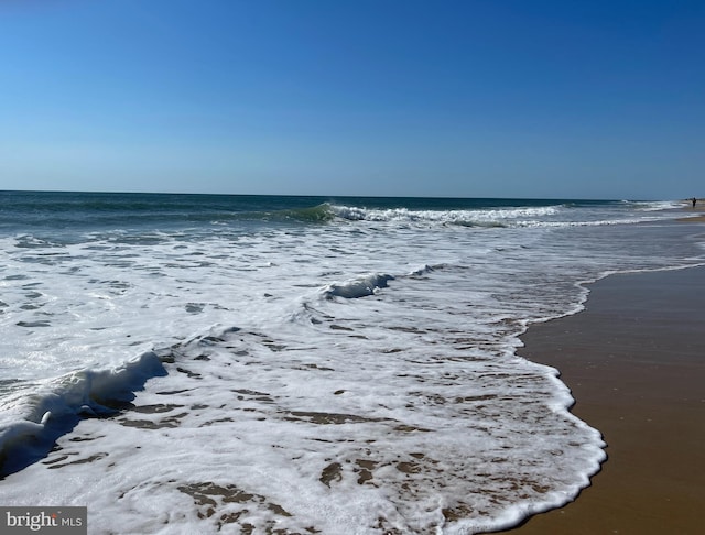 water view featuring a beach view