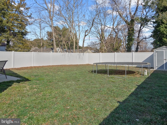 view of yard with a storage shed and a trampoline