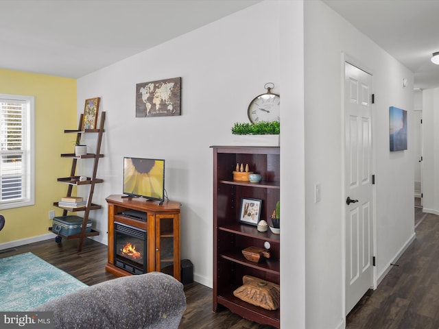 living room featuring dark wood-type flooring