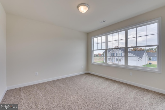 view of carpeted spare room