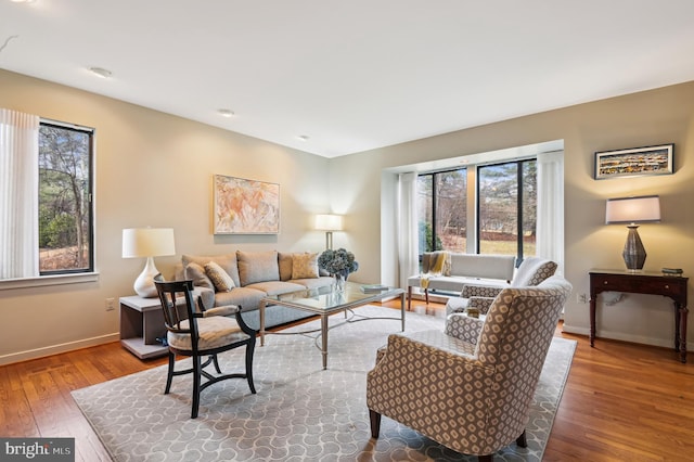 living area featuring a healthy amount of sunlight, wood-type flooring, and baseboards