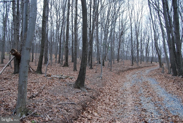 Listing photo 2 for LOT2 Terrain Dr, Hedgesville WV 25427