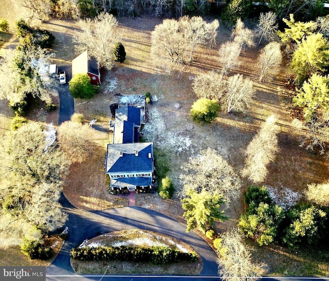 bird's eye view