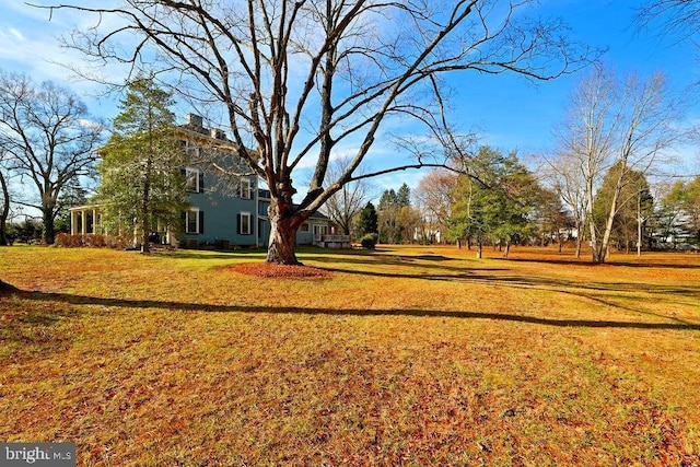 view of yard