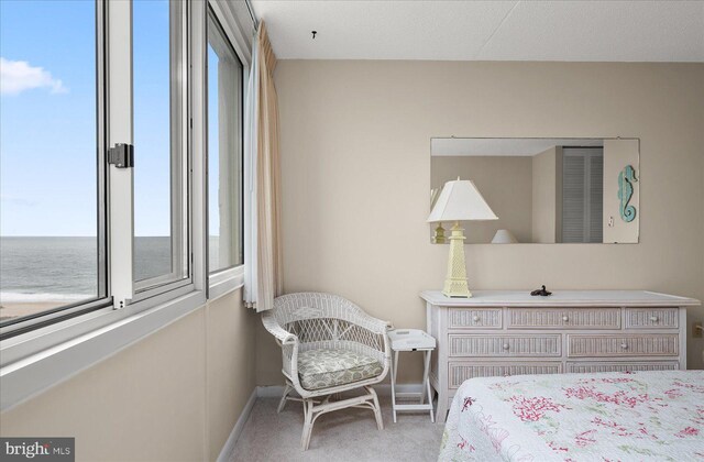 carpeted bedroom featuring a water view