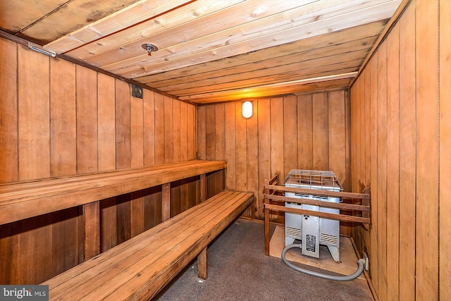 view of sauna featuring carpet floors