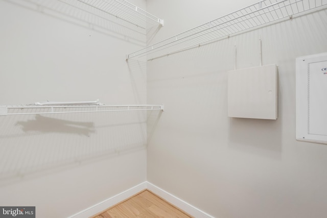 walk in closet with wood-type flooring