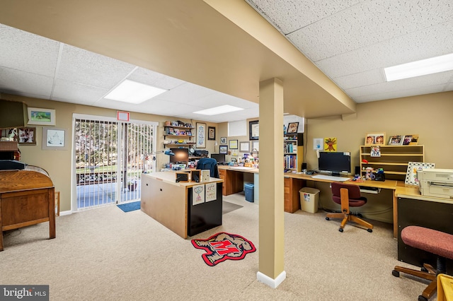 office space featuring light colored carpet and a drop ceiling