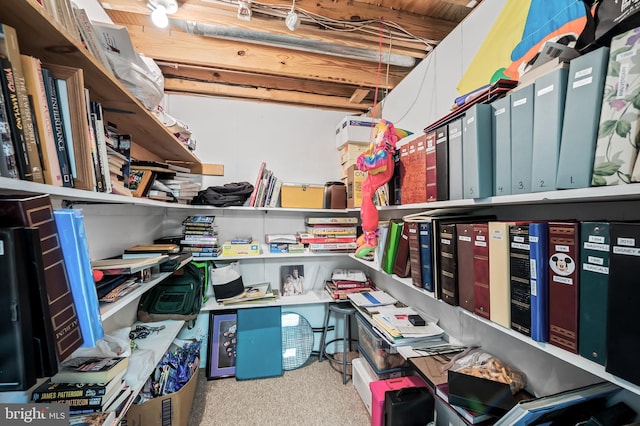 view of storage room