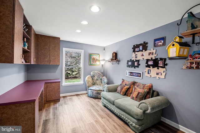 living room with light hardwood / wood-style flooring