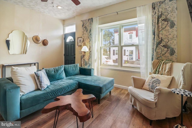 living area featuring ceiling fan and hardwood / wood-style floors