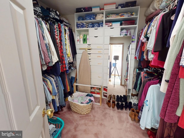 spacious closet with carpet