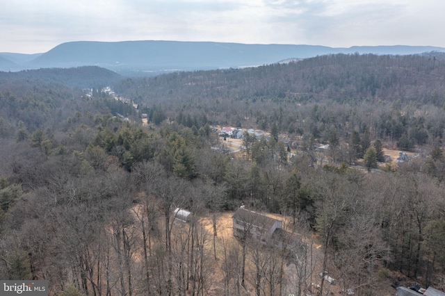 view of mountain feature featuring a wooded view