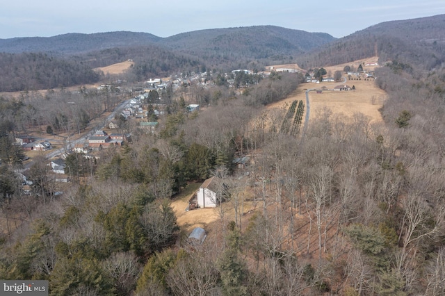 aerial view with a mountain view