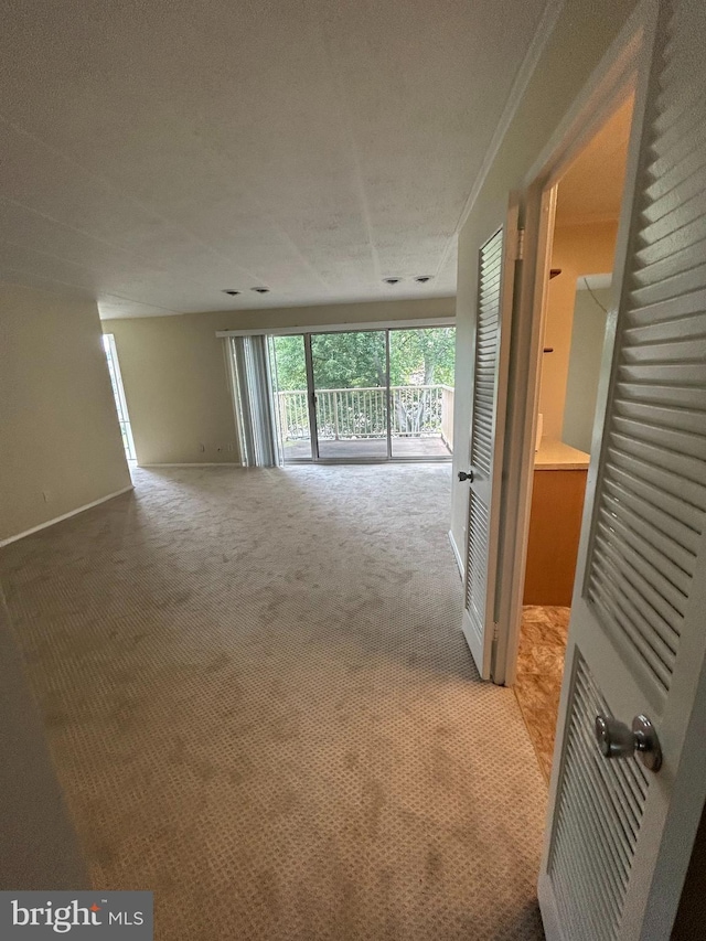 empty room with carpet flooring, a textured ceiling, and baseboards