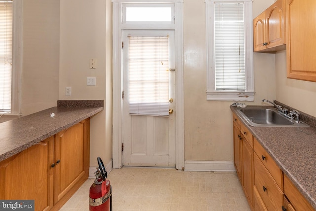 kitchen with a healthy amount of sunlight and sink