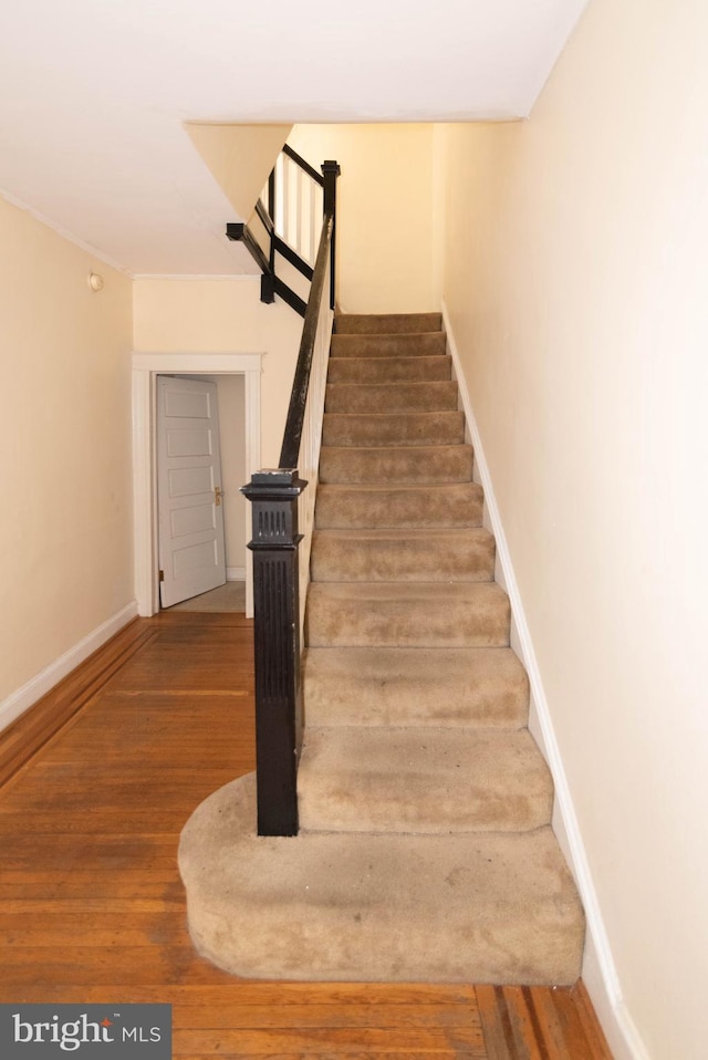 stairway with hardwood / wood-style floors