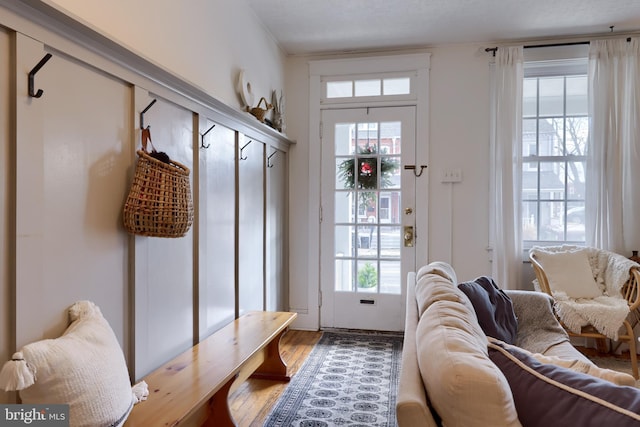 mudroom with wood-type flooring and a wealth of natural light