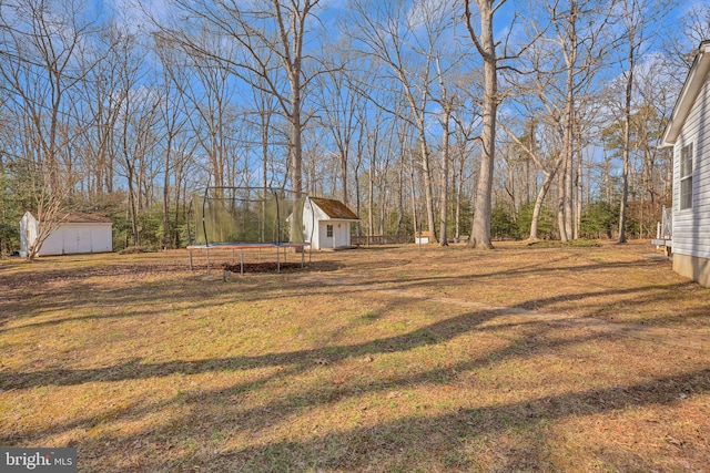 view of yard featuring a trampoline and a shed