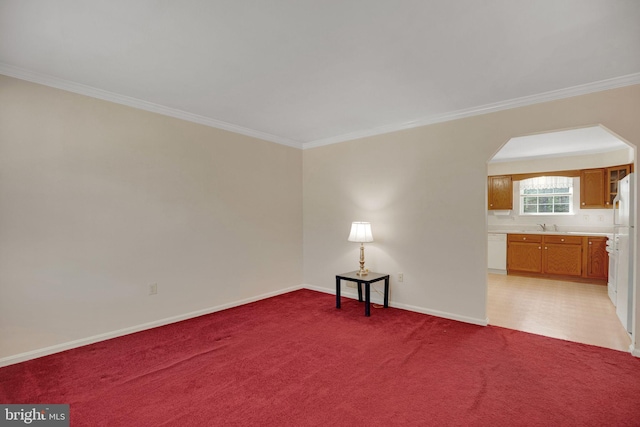 unfurnished room with crown molding, light colored carpet, and sink