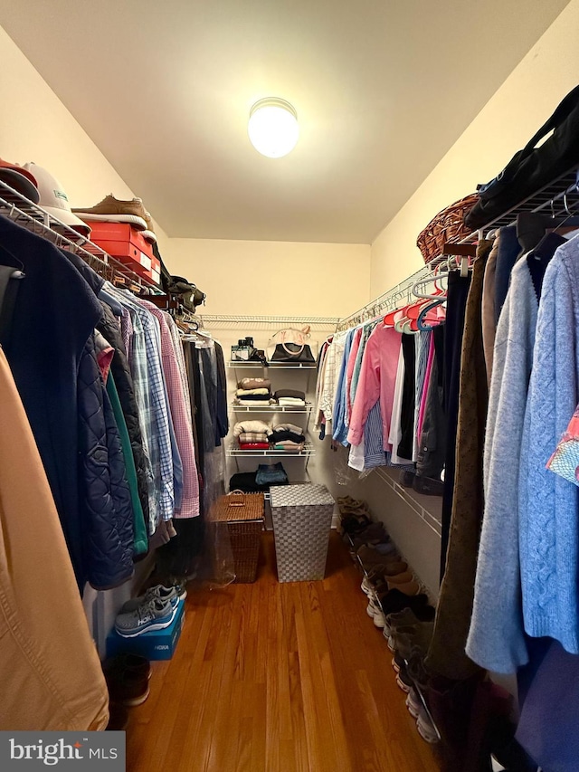 spacious closet featuring hardwood / wood-style flooring