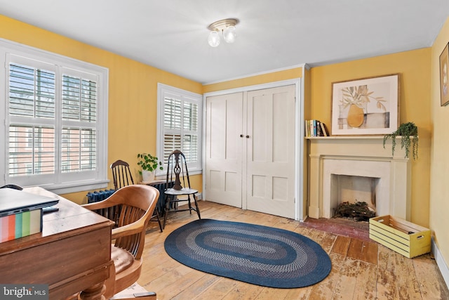 office area featuring a fireplace and wood finished floors