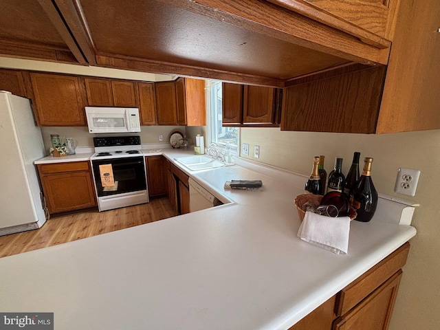 kitchen with light countertops, light wood-style flooring, brown cabinetry, a sink, and white appliances