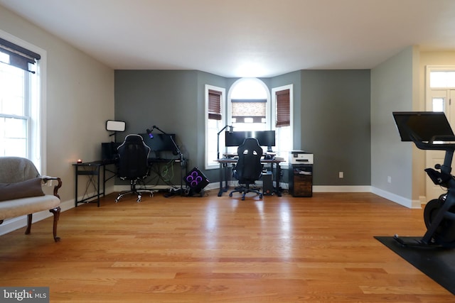 home office featuring light wood finished floors, plenty of natural light, and baseboards