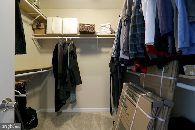 walk in closet with carpet