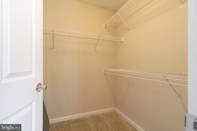 walk in closet with carpet